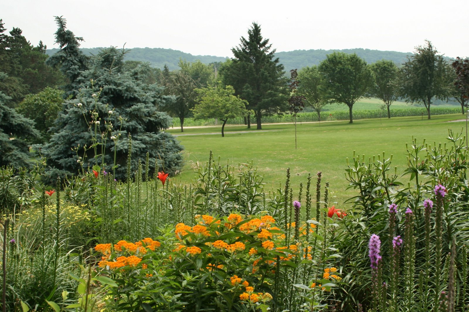 South Englishtown Gazette: A Garden in Bloom