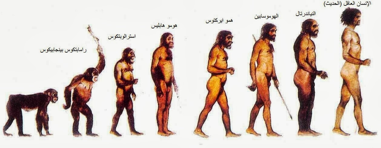 Ahmed Kabushia Sudanese Archaeological Page مقرر الإنسان القديم وثقافته في العصور الحجرية الفصل الدراسي الأول قسم الآثار جامعة النيلين