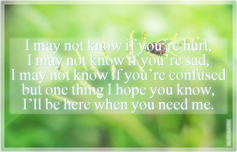 you should be here quotes you should be here quotes