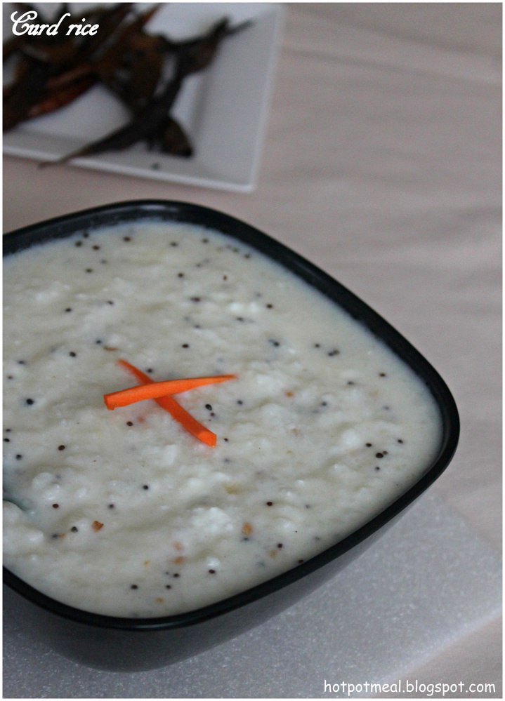 Hot pot cooking Yogurt rice Curd rice / Homemade yogurt