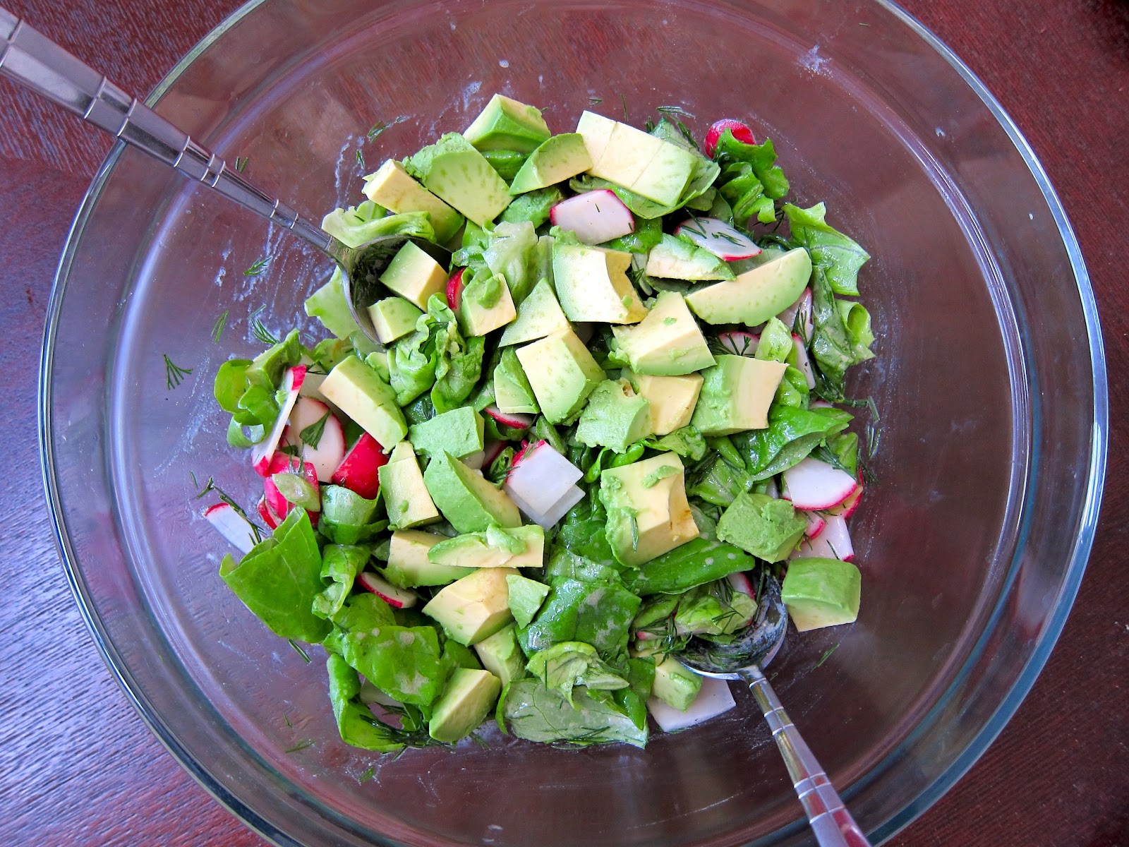 Review Notes butter lettuce, radish, and avocado salad with mustard