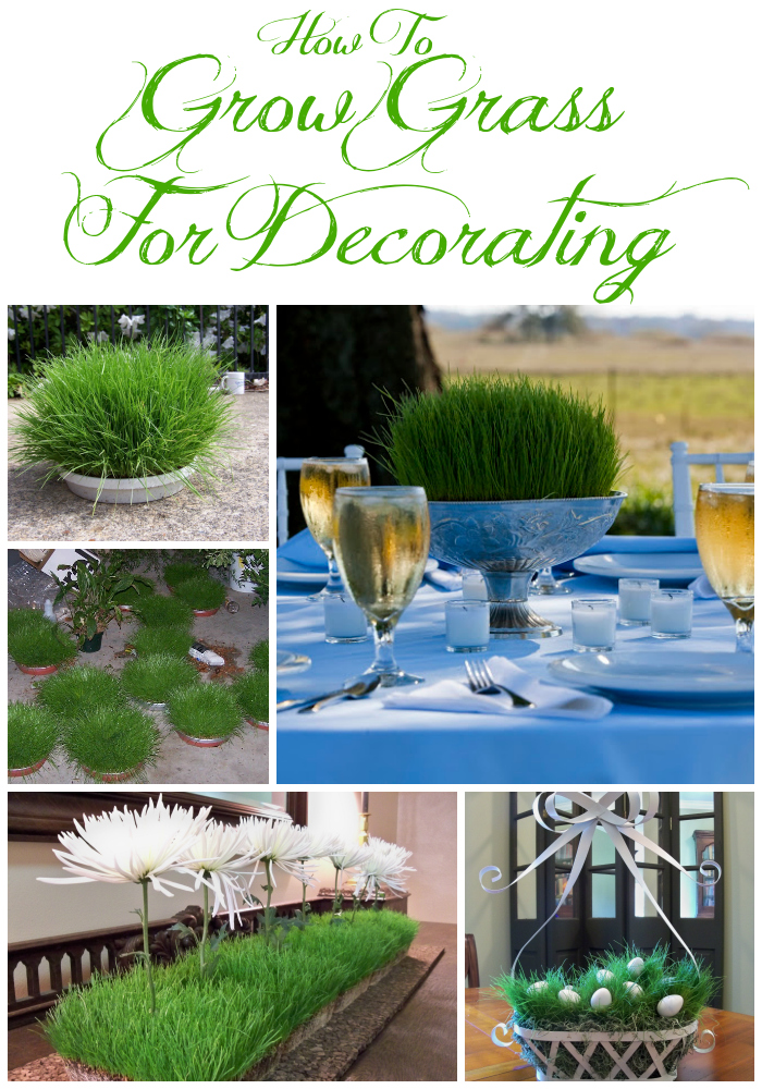 Growing & Using Real Grass in Decorating Miss Kopy Kat