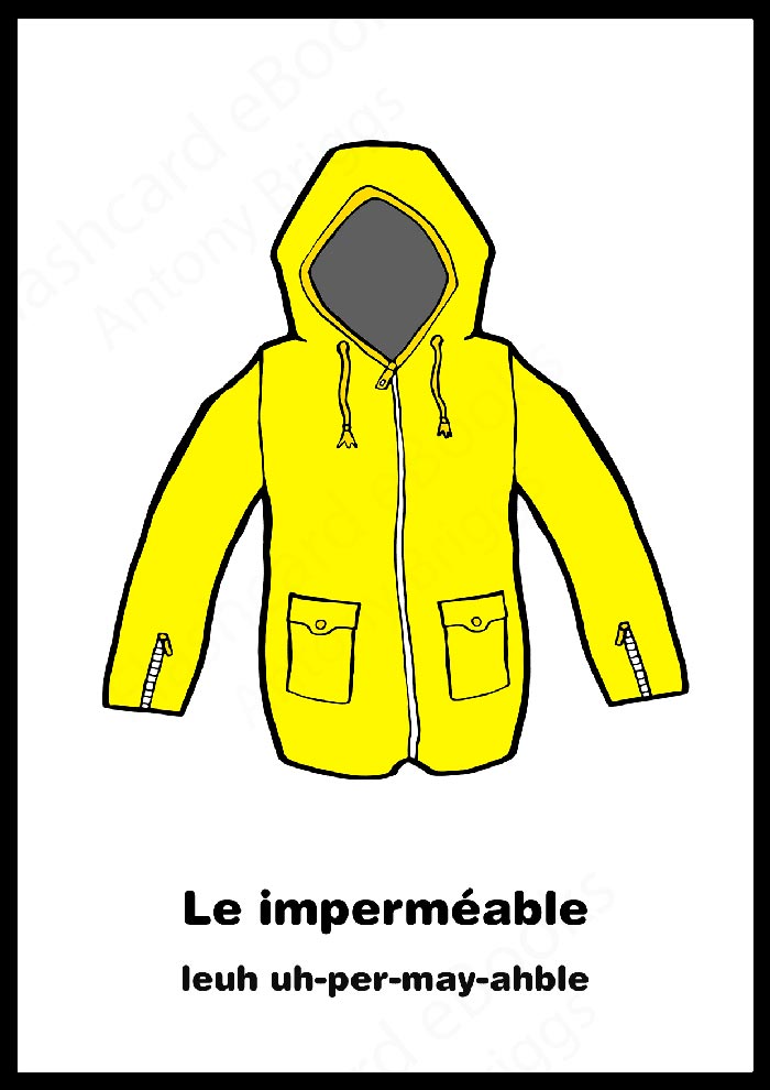 Flashcard Books Learn French Vocabulary English/French Flashcards