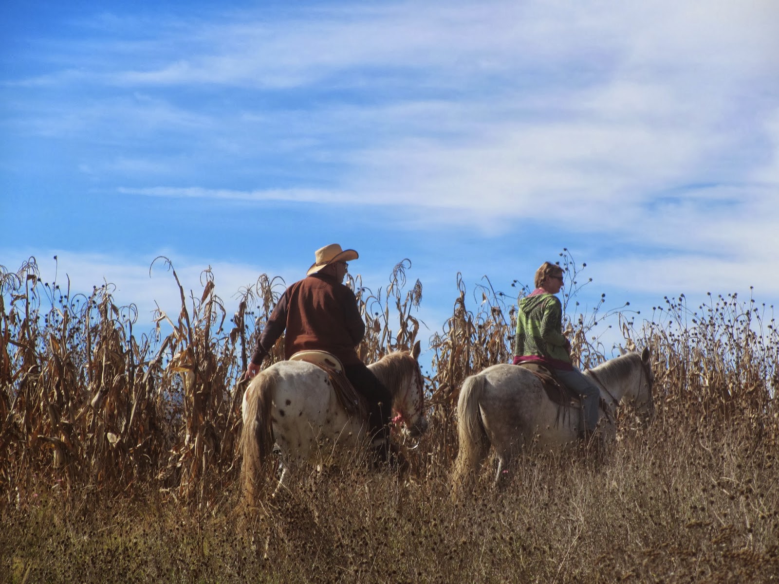 Rancho Las Cascadas, Mexico Eccentric England travel and events