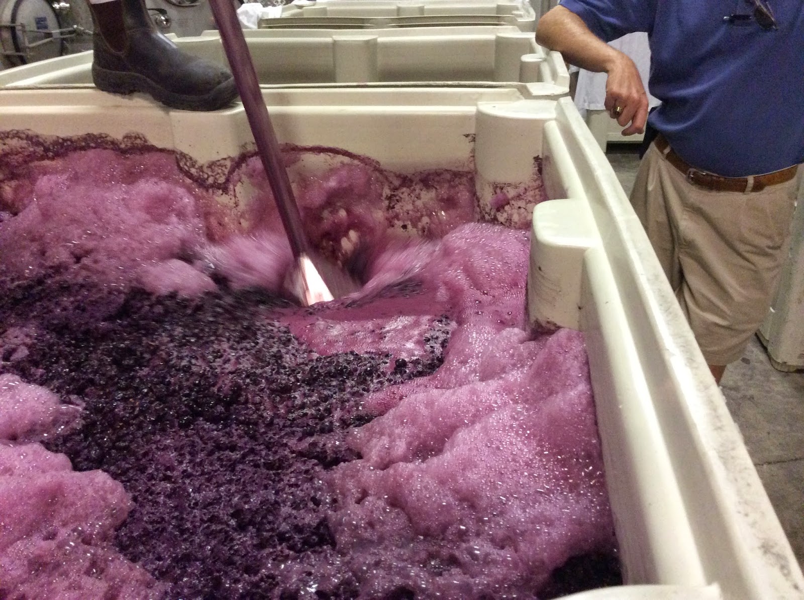 The Sommelier Update Are you ready for a Punch Down?