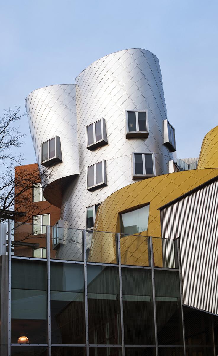 a f a s i a: Frank Gehry