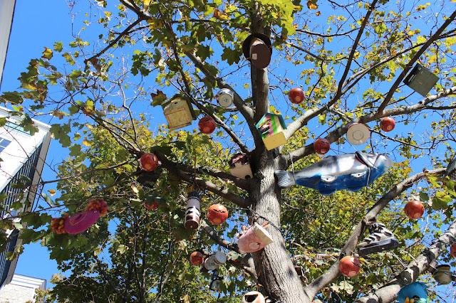 Halloween in Salem - decorated tree