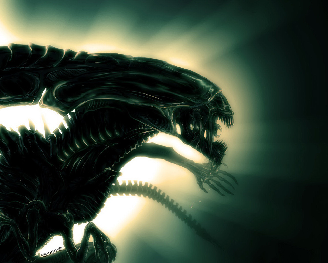 Scary Night HD Wallpaper