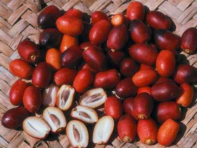 Benefits of Dates Fruit (Khajoor kay Faidy) Benefits of Dates Fruit (Khajoor kay Faidy)