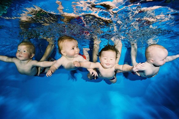 Swim+Babies%2521.jpg