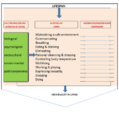 Roper-Logan-Tierney Theory: E. Major Concepts in ALs Theory