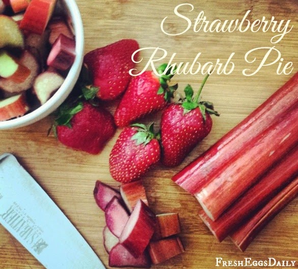 Strawberry Rhubarb Pie Recipe Fresh Eggs Daily®