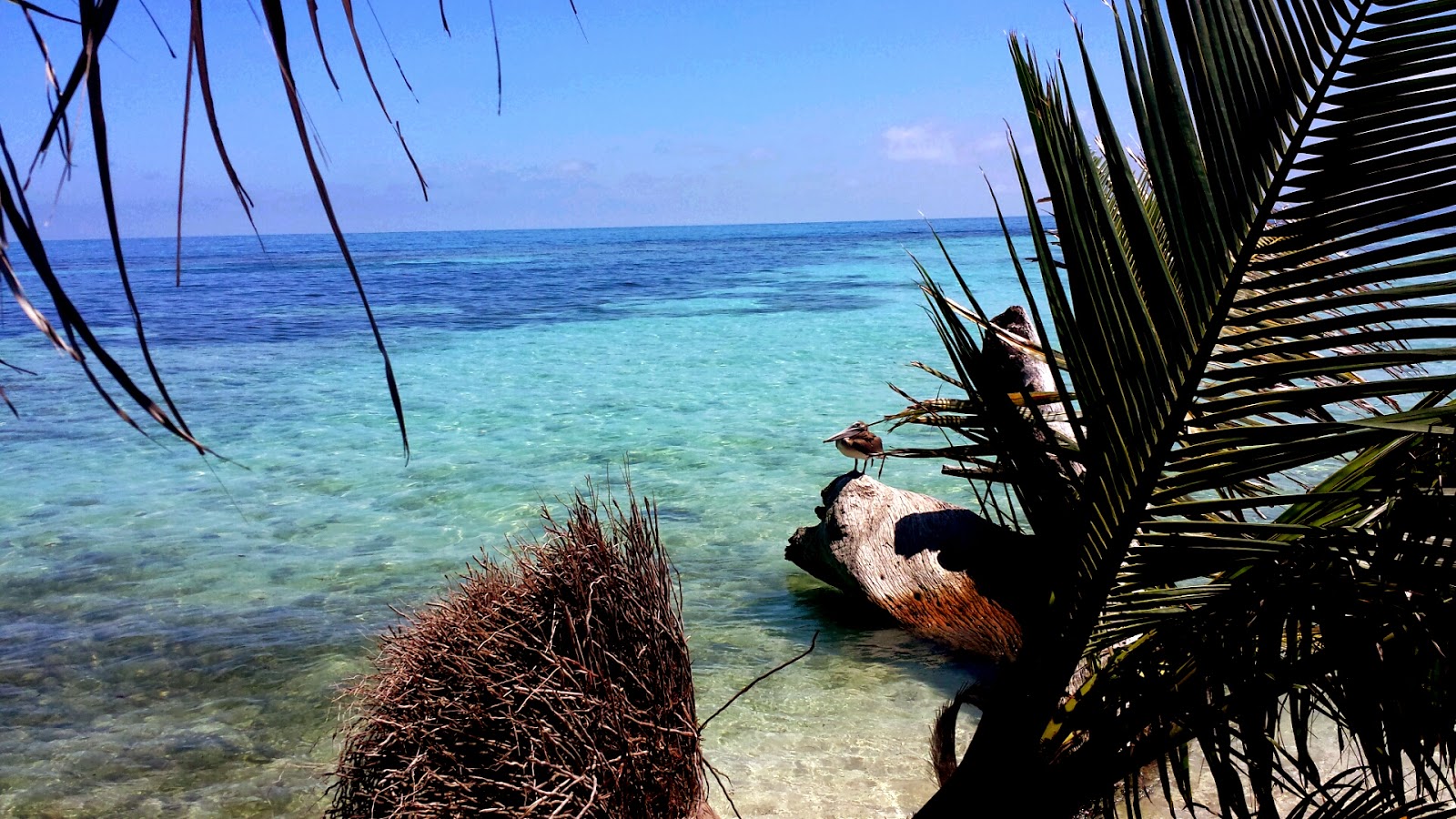 Remax Vip Belize: Inside Sea Nature view 
