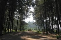 Kokan Picnic 2008