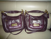 COACH KRISTIN SPECTATOR LEATHER HOBO 18287