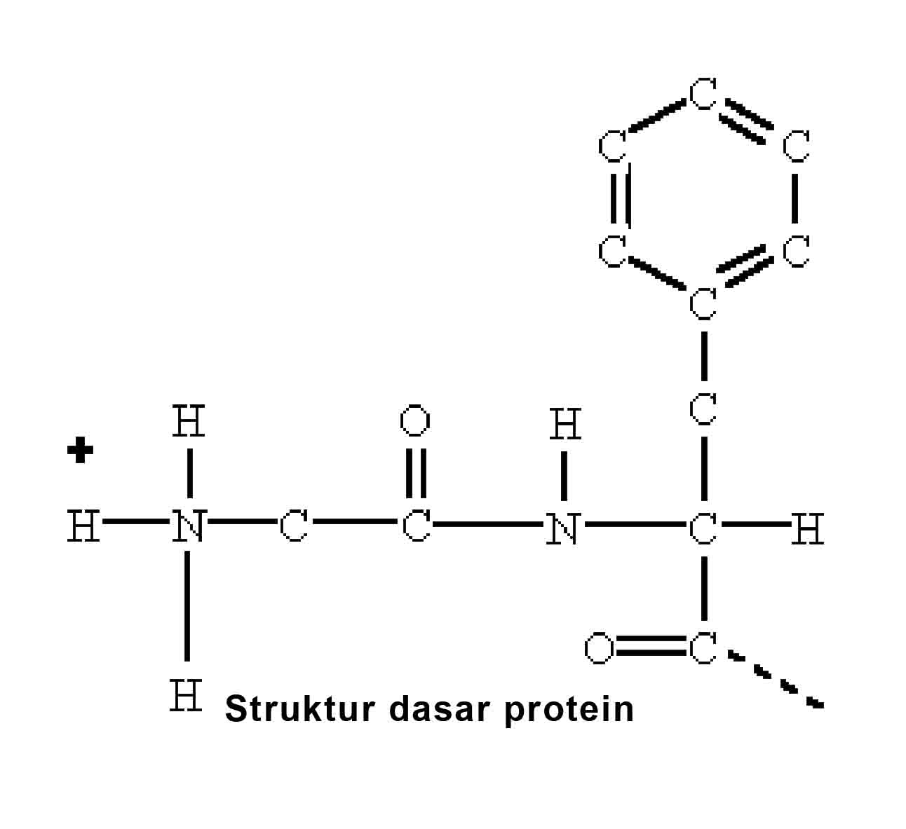 Lab Biomol DASAR BIOLOGI MOLEKULER