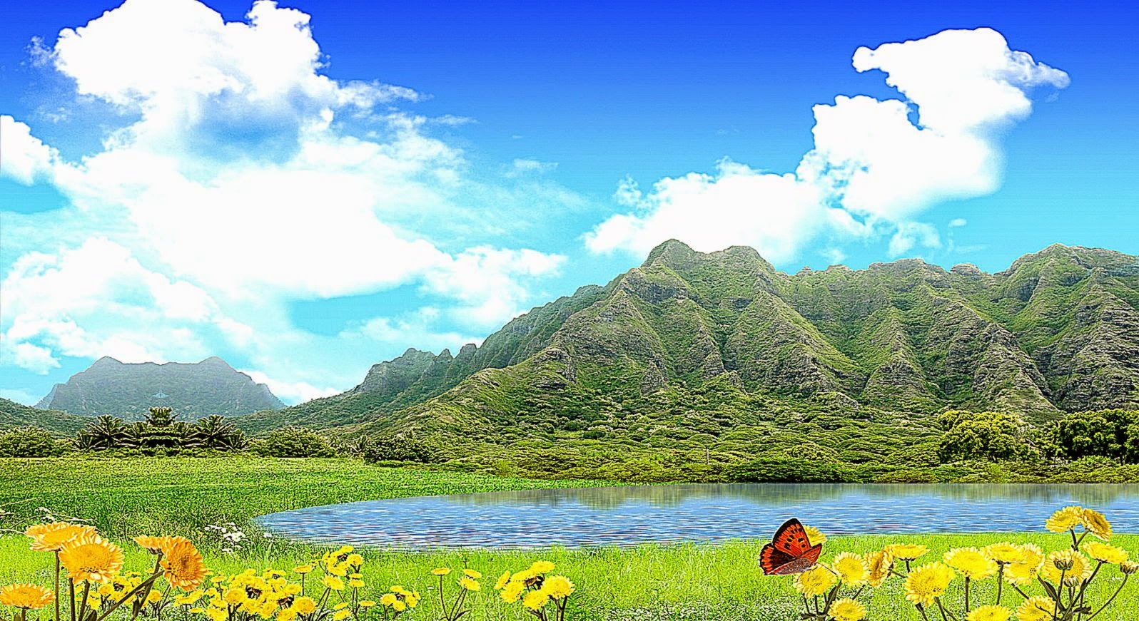 Windows 7 Nature Wallpaper HD HD Wallpapers WallForU Windows 7 Nature Wallpaper HD HD Wallpapers WallForU