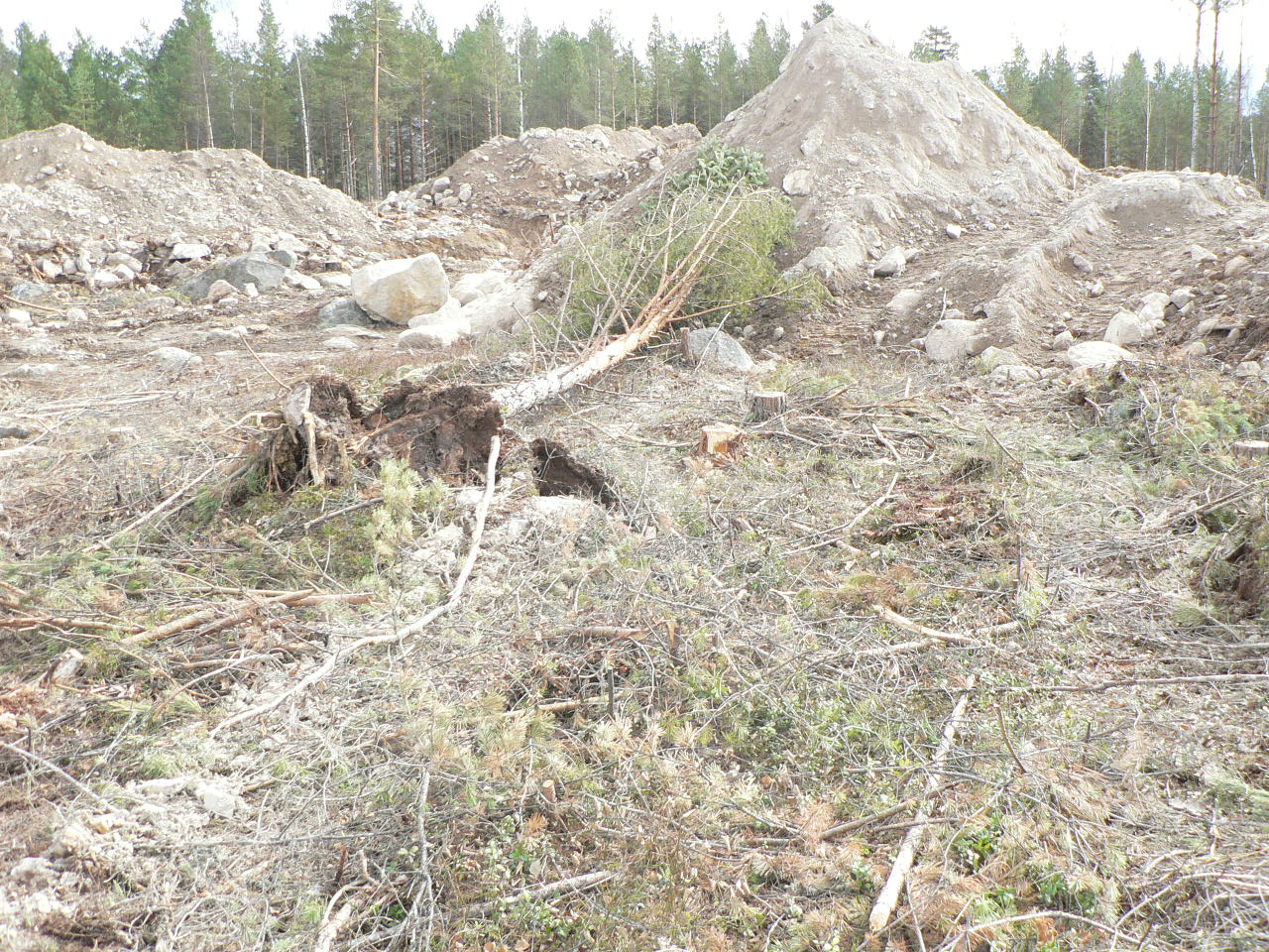 Villa jäderberg: februari 2012