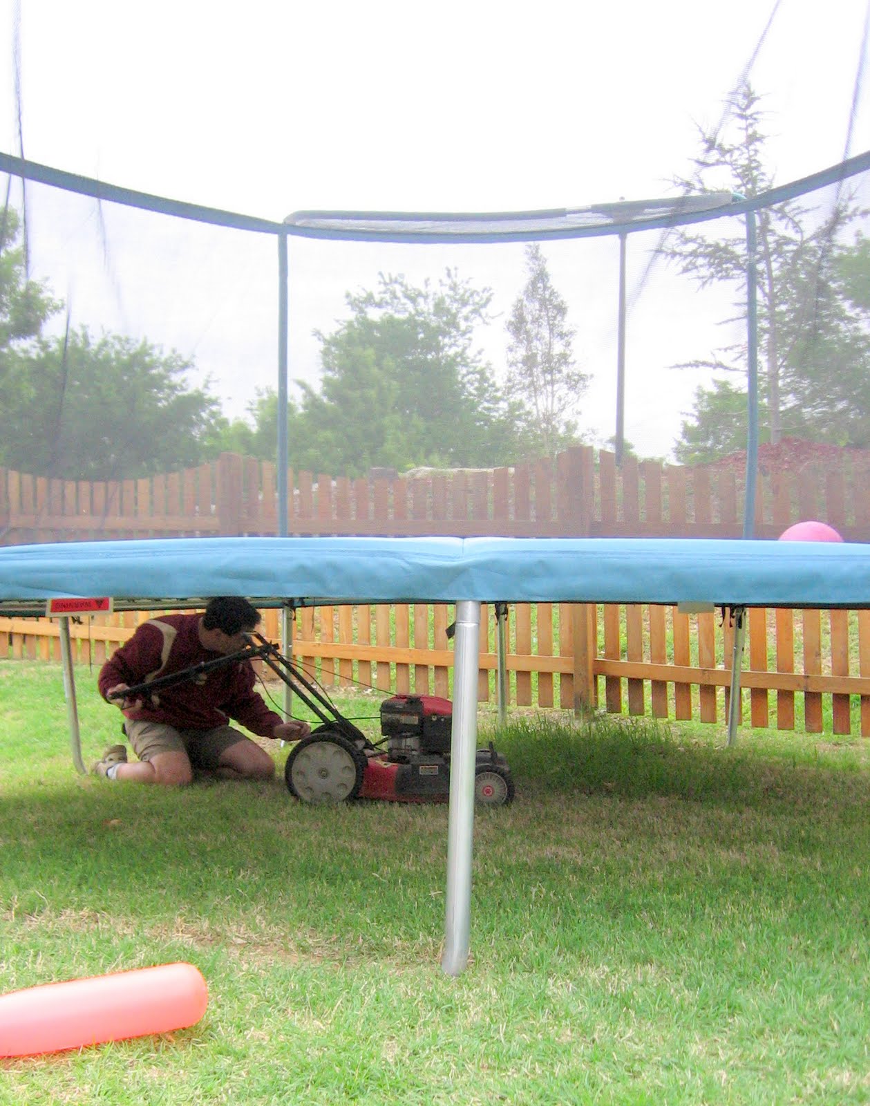 3 Little Chicks Trampoline Hindsight