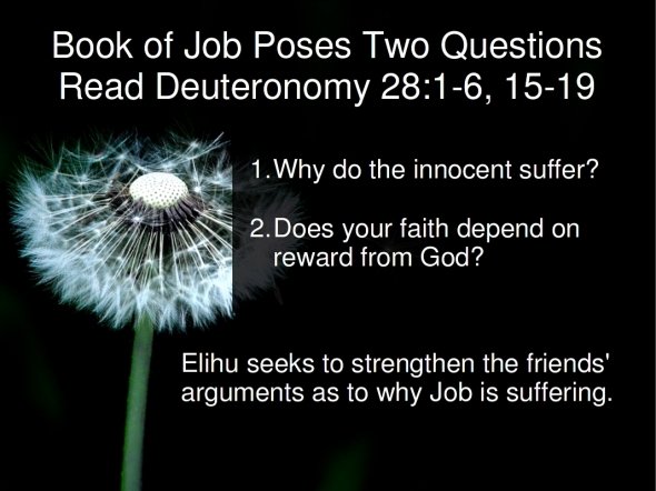 Planted Who is this Elihu guy?