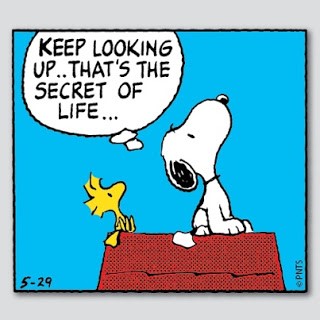 Snoopy knows the secret...