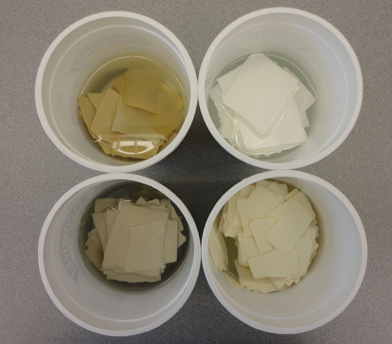 Petite Papermaking for Conservation Repairs Library Muse