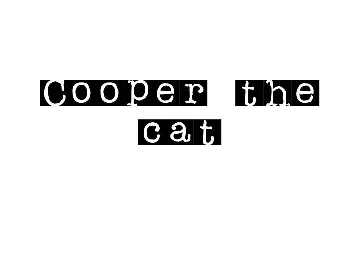 cooper the cat