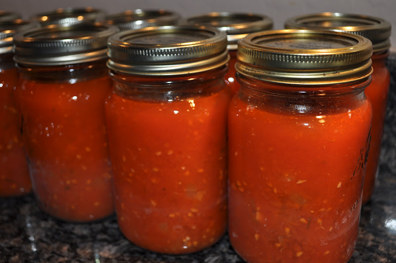 seeshellspace Homemade Rosemary Garlic Tomato Sauce