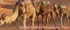 Adventure Tour Packages India