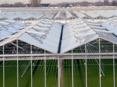 Fully Built and Constructed Glass Commercial Greenhouses Picture