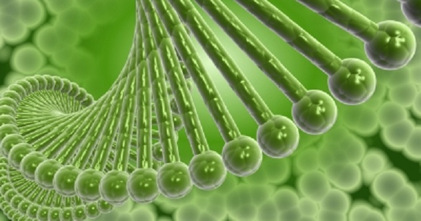 Dna Green