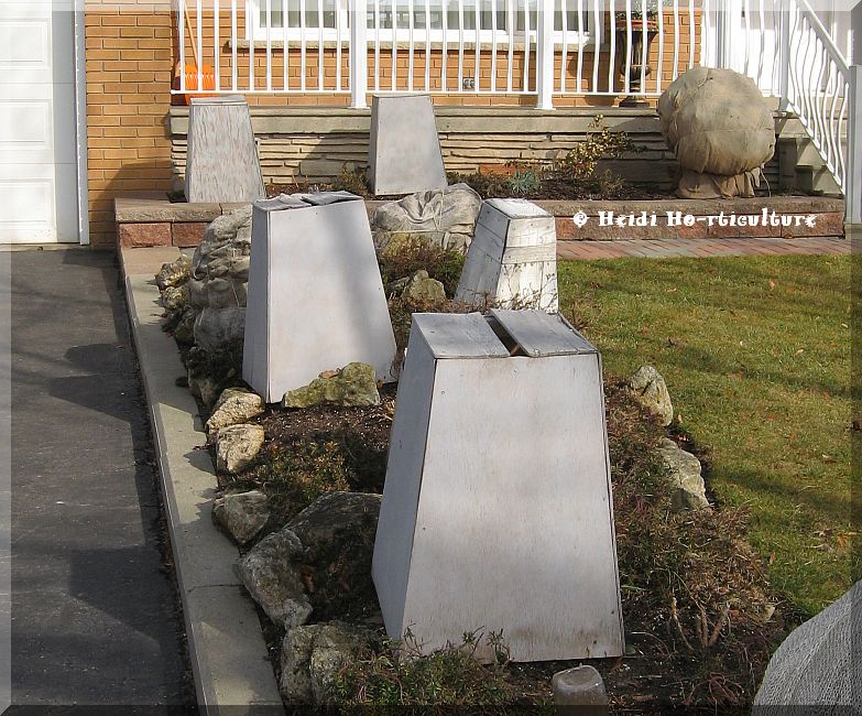 Garden Endeavors Cp Wordless Wednesday