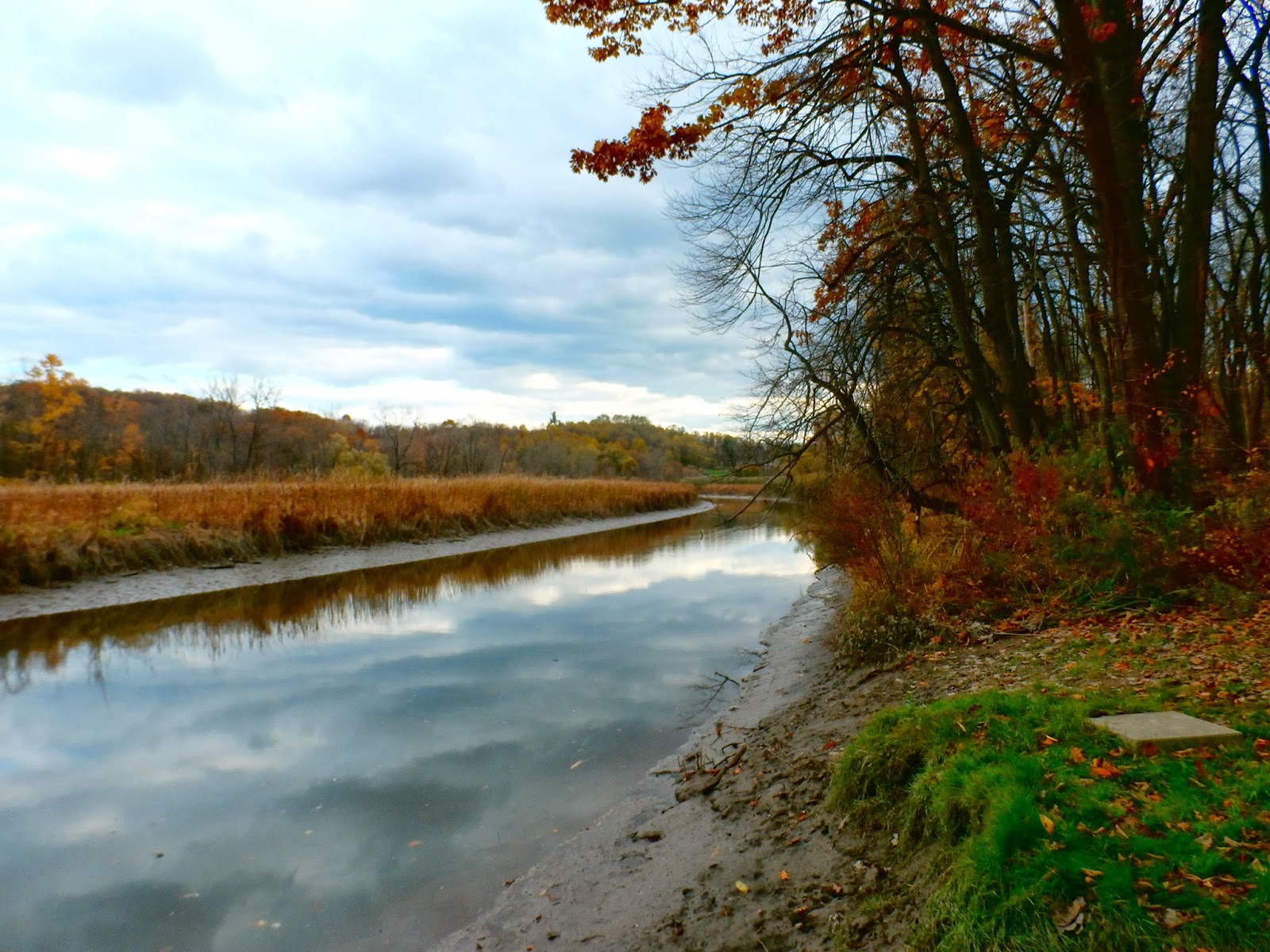 Walking Man 24 7 Schodack Island State Park