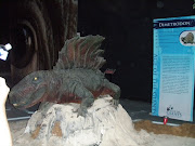 dimetrodon