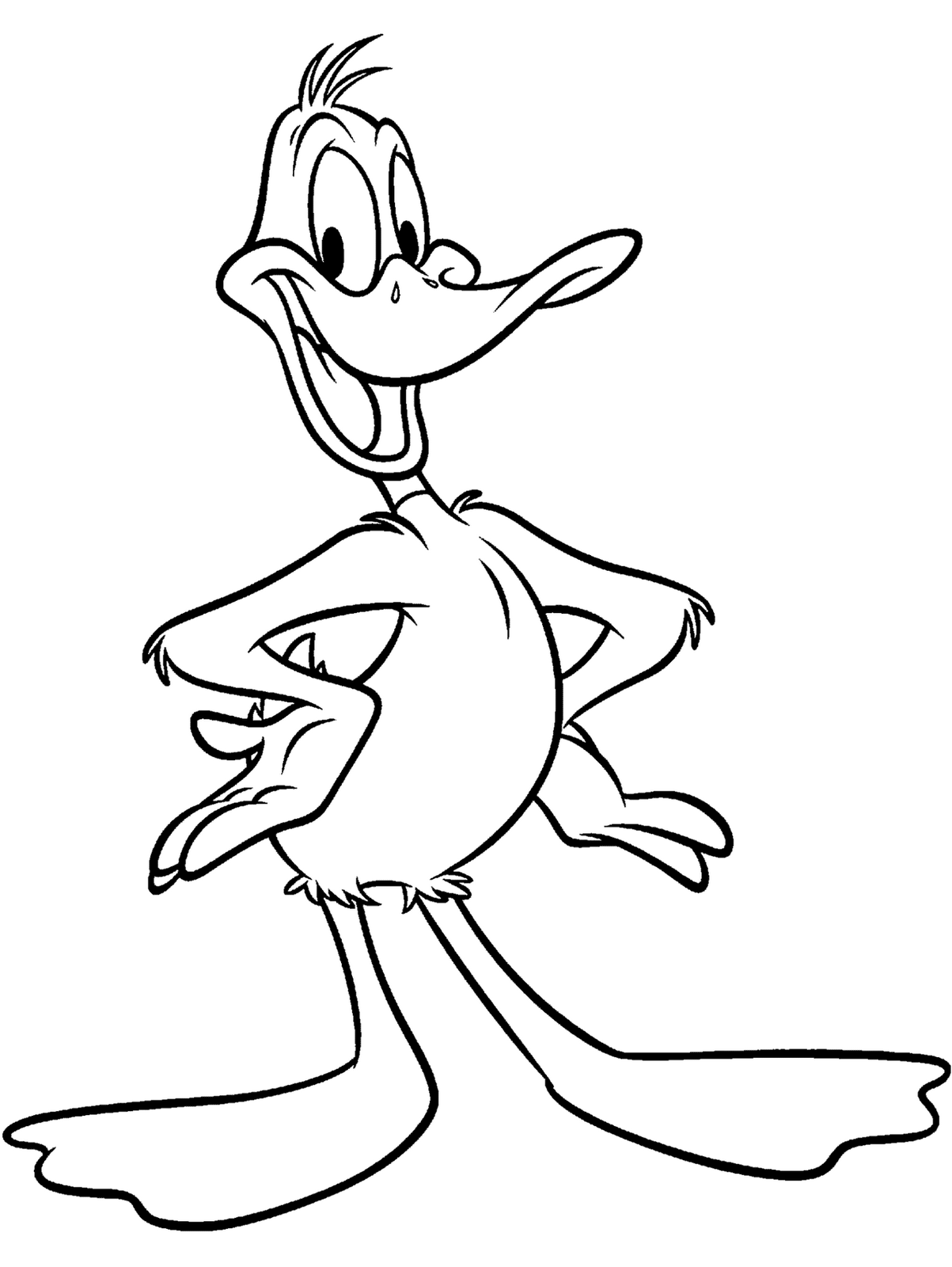 Daffy duck coloring pictures Coloring