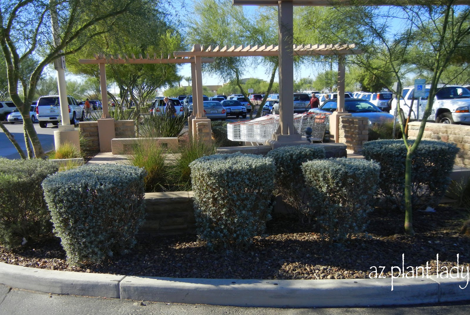 Landscaping 101 The Beginner S Guide Landscape Design Pictures