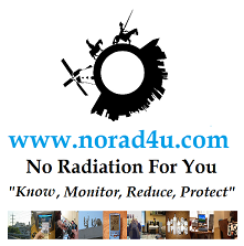 No Rad 4 U Logo