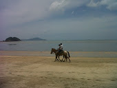 A caballo en la playa