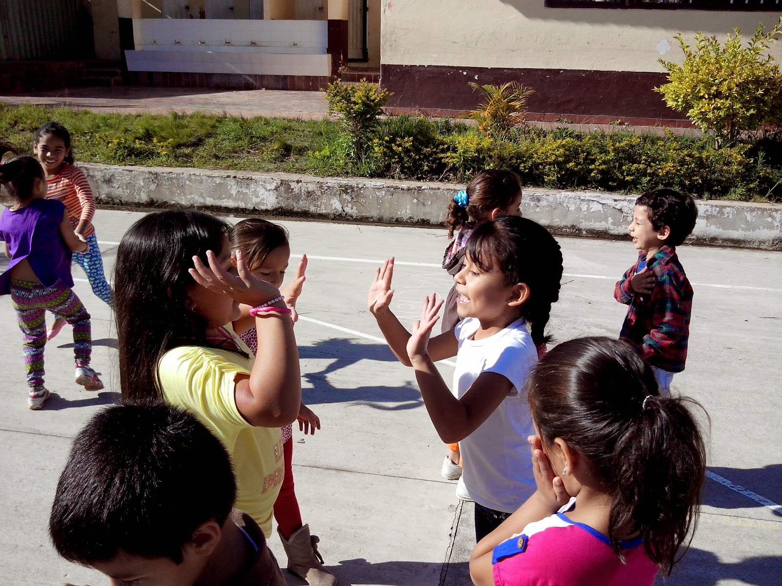 PROYECTO C.A.R.D. ''