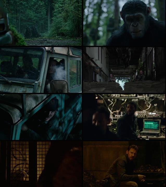 Dawn Of The Planet Of The Apes 2014 720p BDRip Dual Audio DD 51 Bluray HindiEng Team HDDR 28 Dawn Of The Planet Of The Apes 2014 720p BDRip Dual Audio DD 51 Bluray HindiEng Team HDDR 28