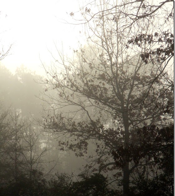 Comin' Home: One Misty, Moisty Morning&hellip;