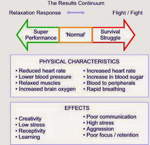 flight fight response anger fear anxiety change chart body vs angst adrenal mechanism state physiology effects disorders normal decide understanding