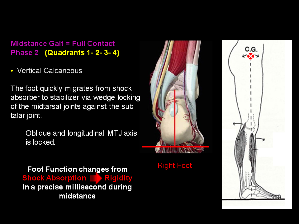 Medical Case Histories and Treatment