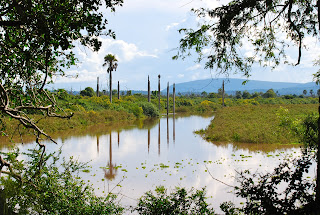 Lake Manze, Selous Game Reserve