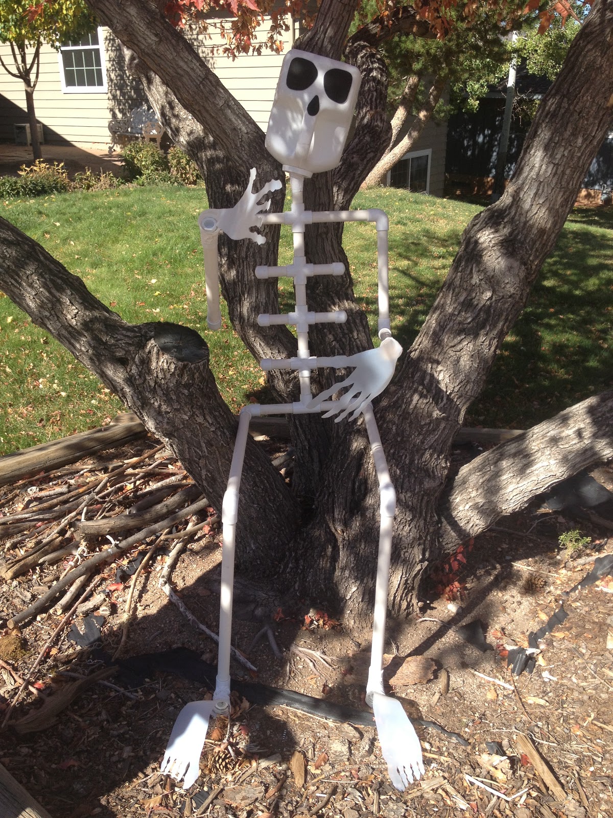 mountains &amp; mode DIY Halloween Skeleton