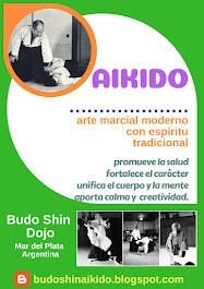 ¿Qué es el Aikido?