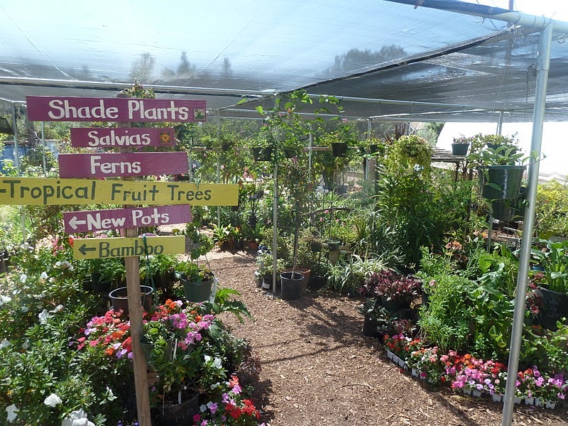 Gidget's Garden City Farmers Nursery