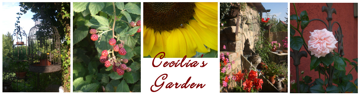 Cecilia's Garden