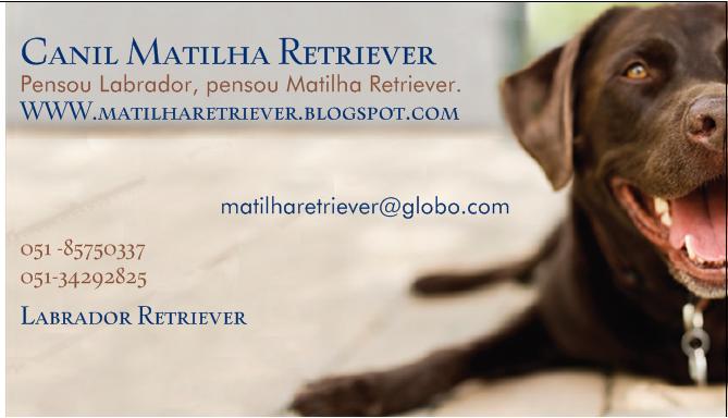 Canil Matilha Retriver - RS