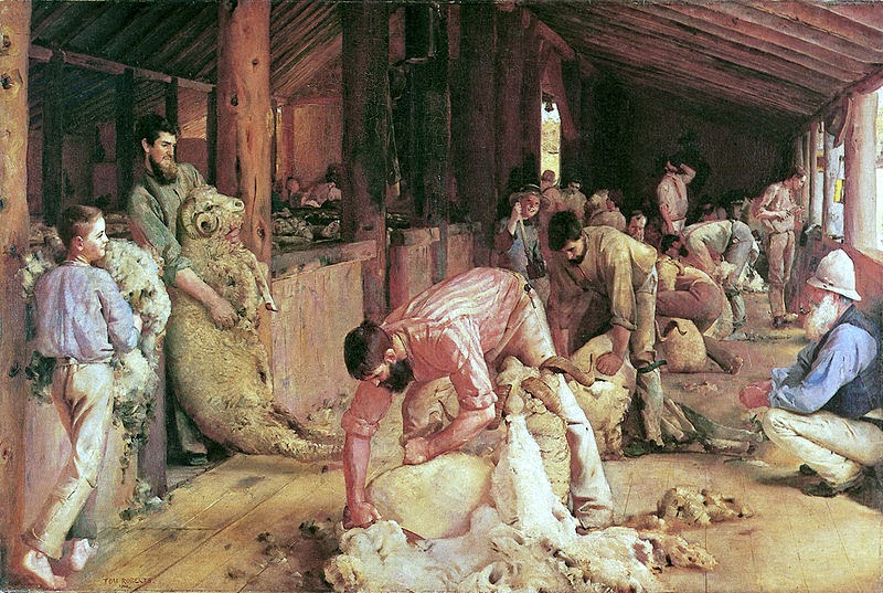 shearing the rams 1890